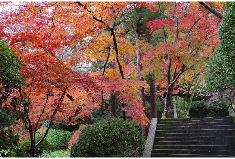 長岳寺