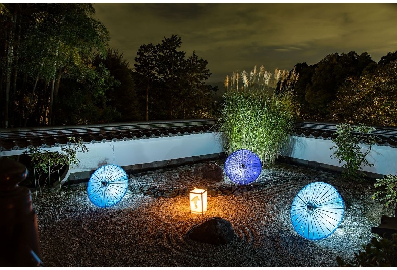 岡寺