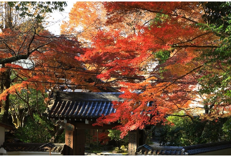 吉野水分神社（吉野山/上千本エリア）