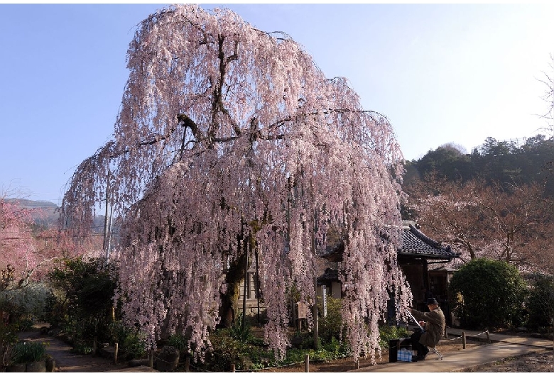 大野寺