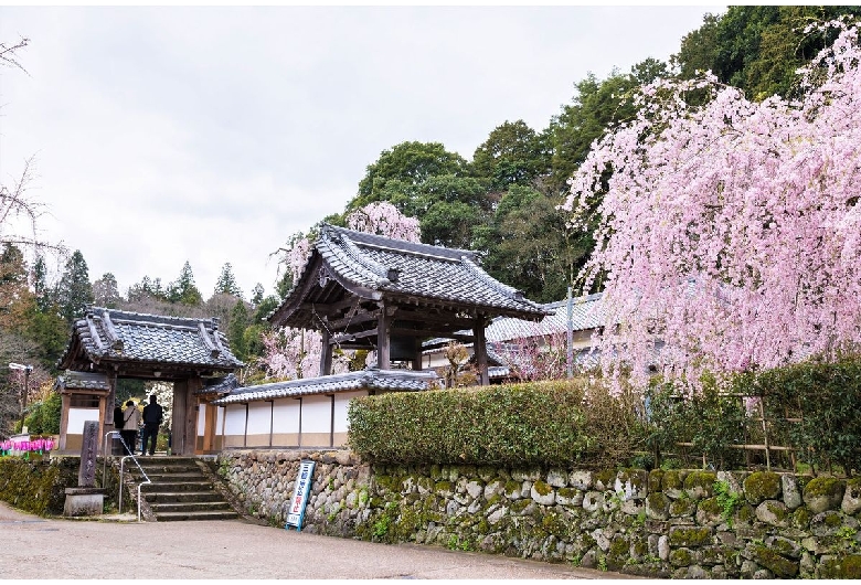 大野寺