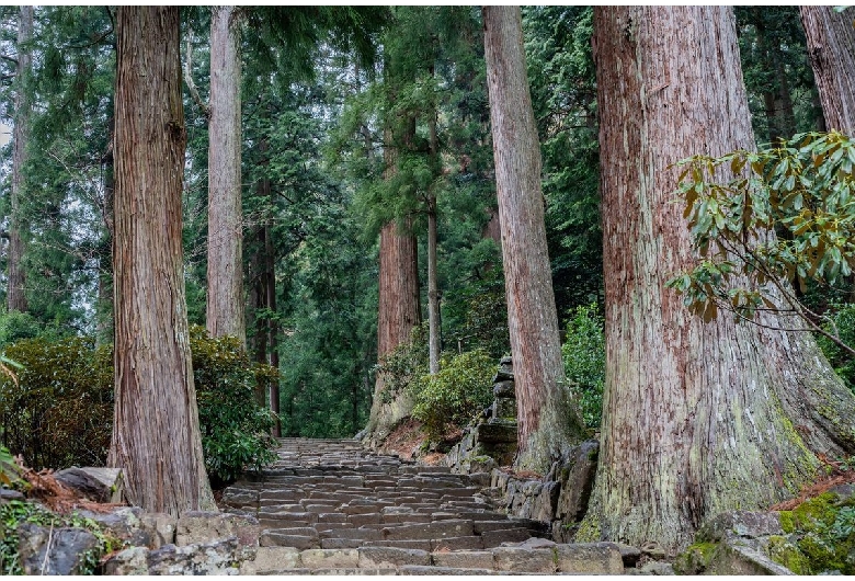 室生寺