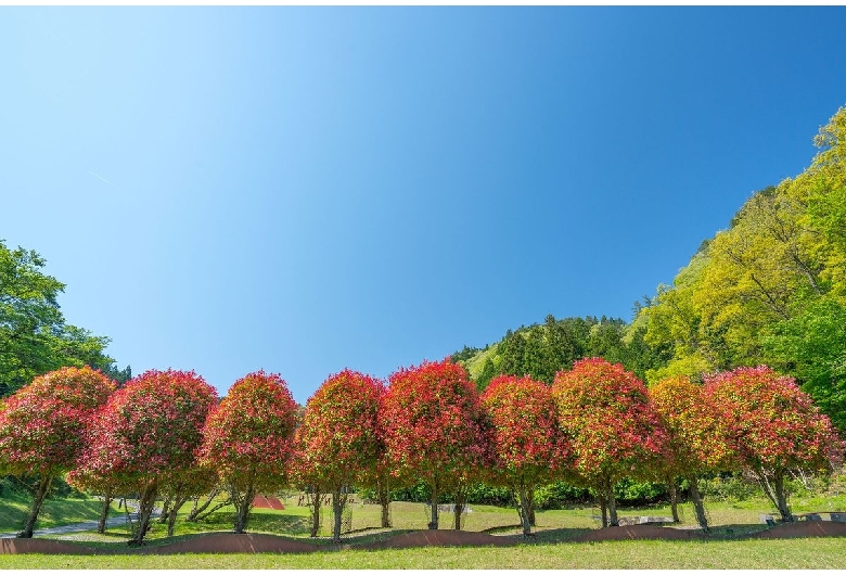 室生山上公園 芸術の森