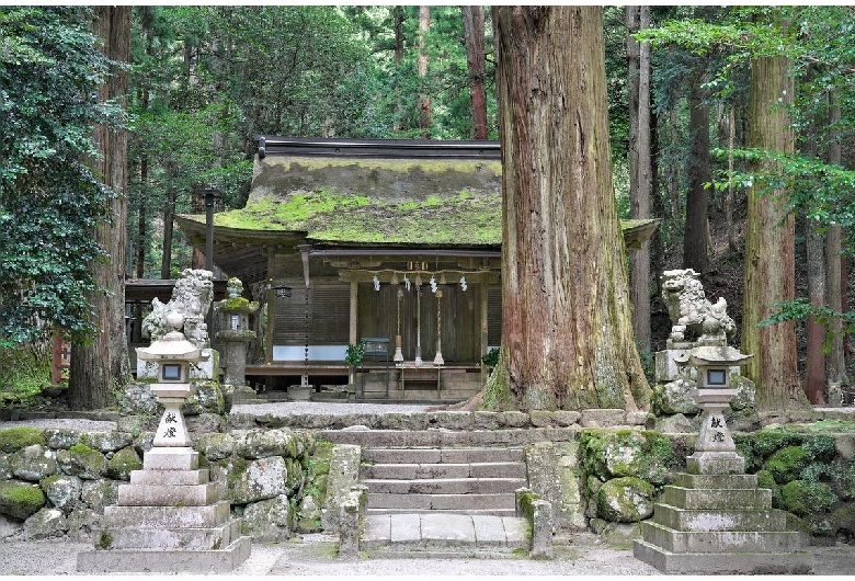 室生龍穴神社