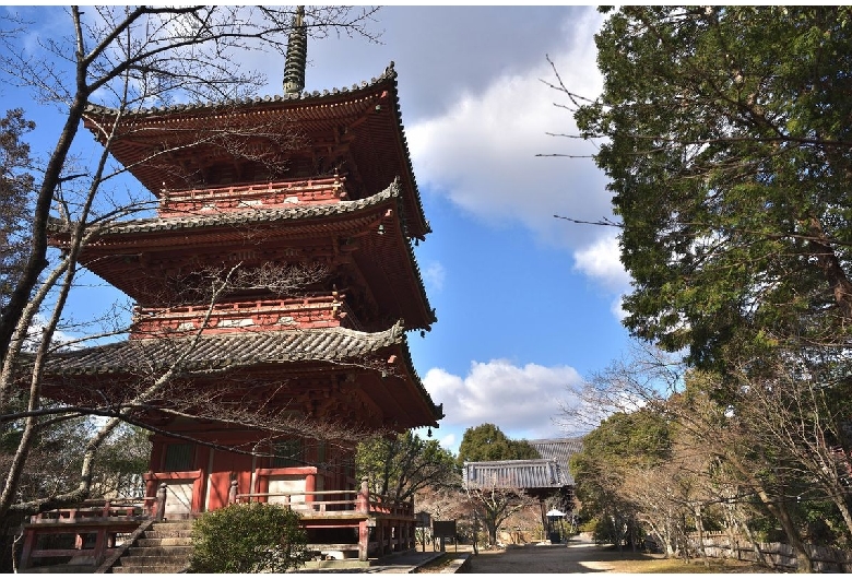 太山寺