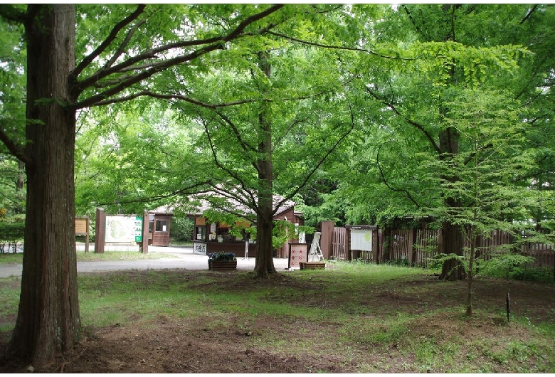 神戸市立森林植物園