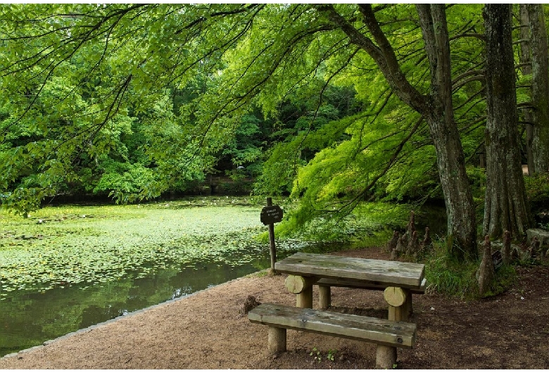 神戸市立森林植物園