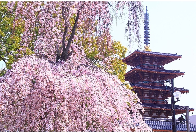 四天王寺