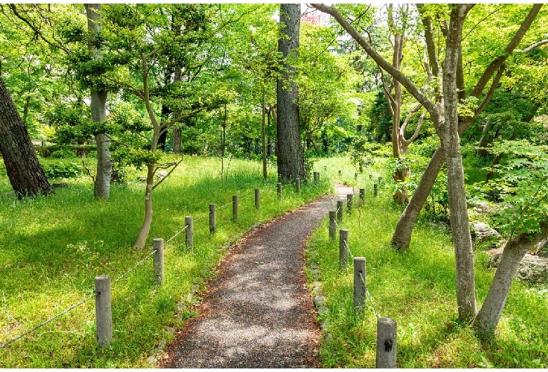 大阪城公園/西の丸庭園