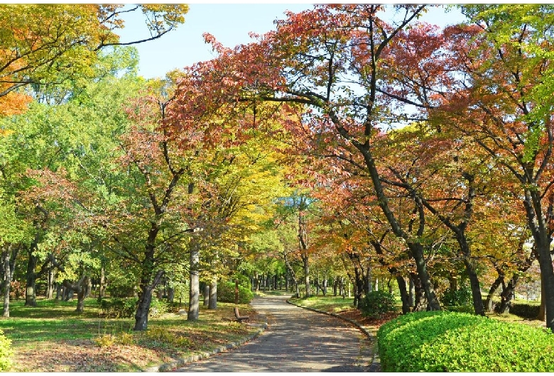 大阪城公園/西の丸庭園