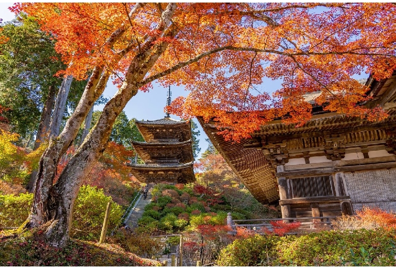 常楽寺（西寺・湖南三山）