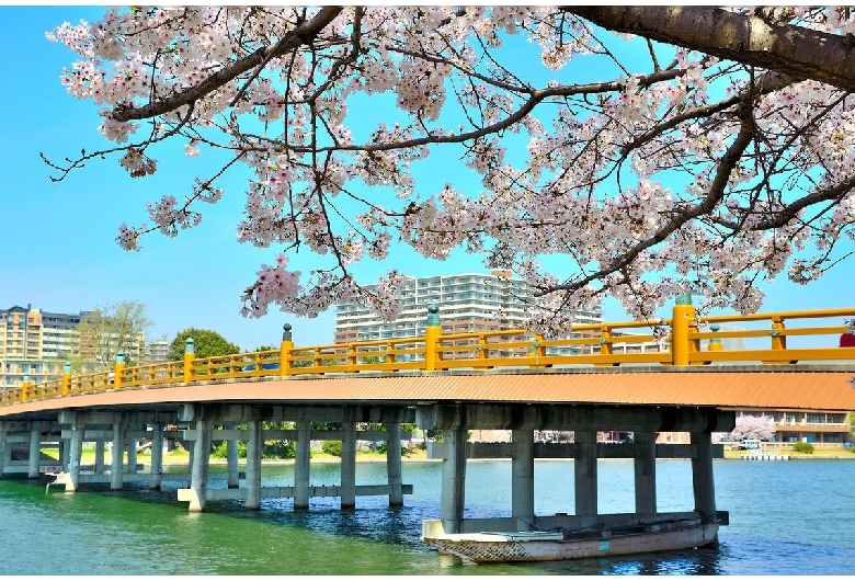 瀬田の唐橋