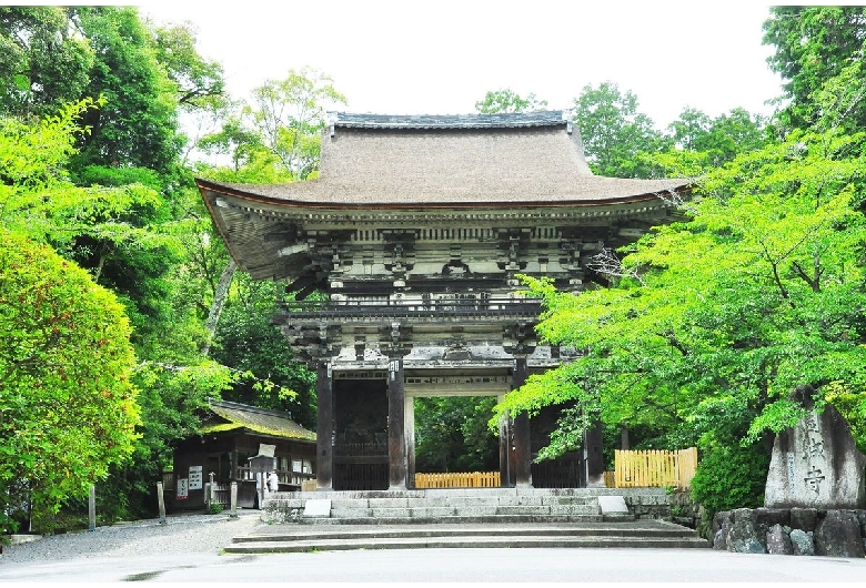 三井寺（園城寺）