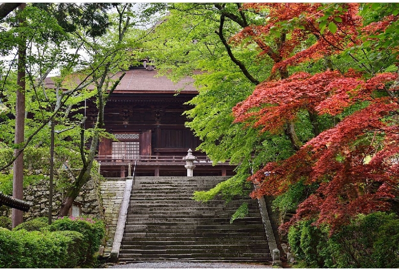 三井寺（園城寺）