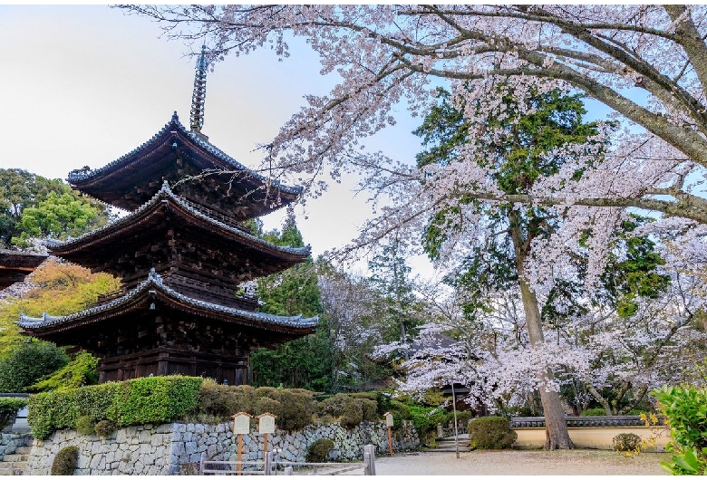 三井寺（園城寺）