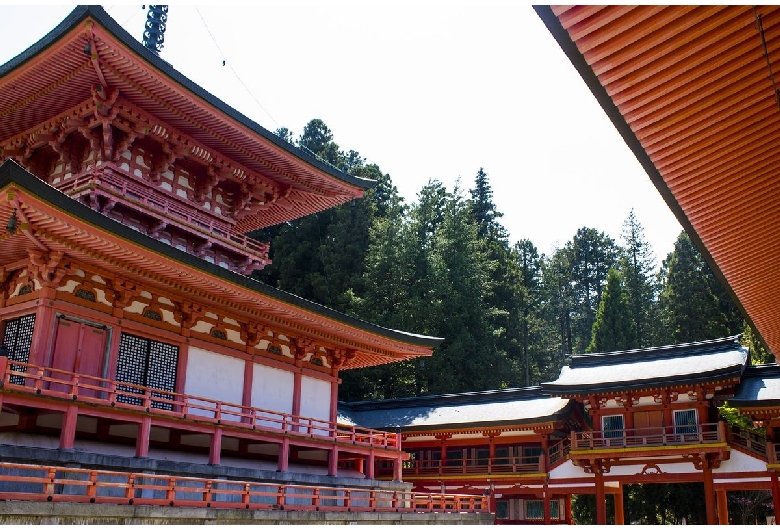 弥生の森歴史公園・銅鐸博物館