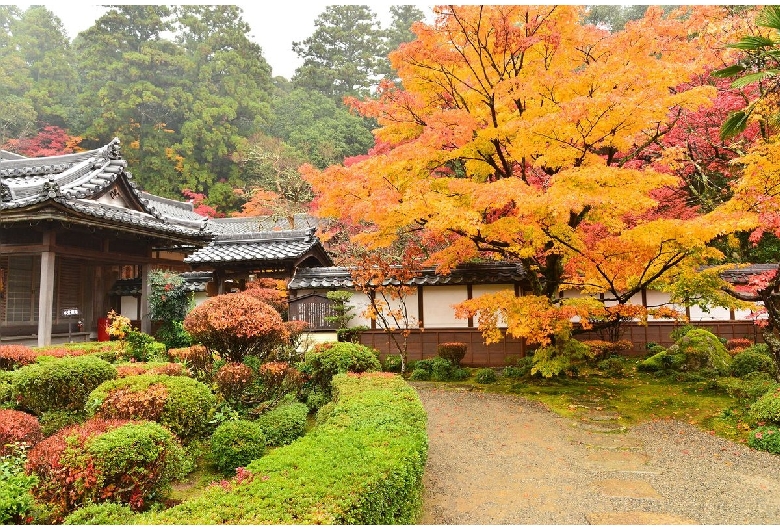 西明寺（池寺・湖東三山）