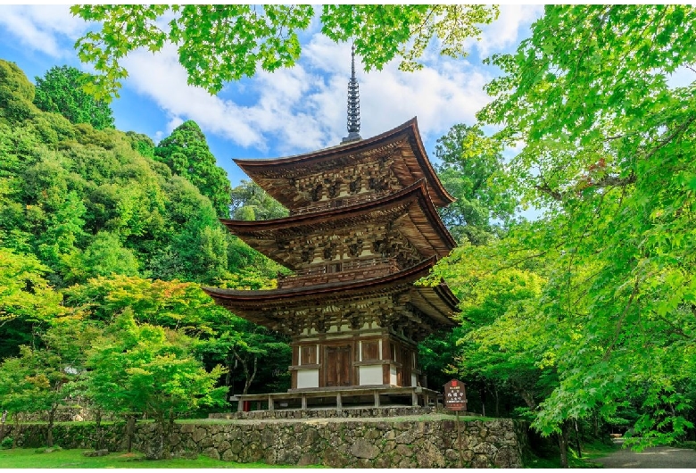 西明寺（池寺・湖東三山）