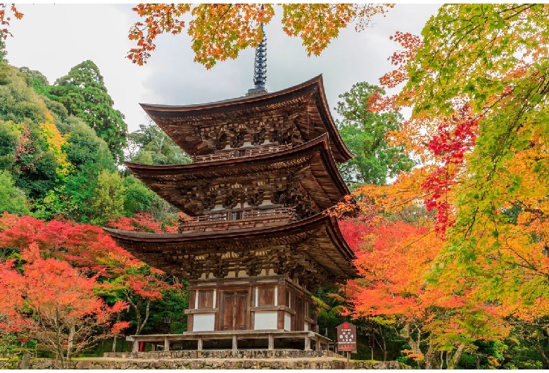 西明寺（池寺・湖東三山）