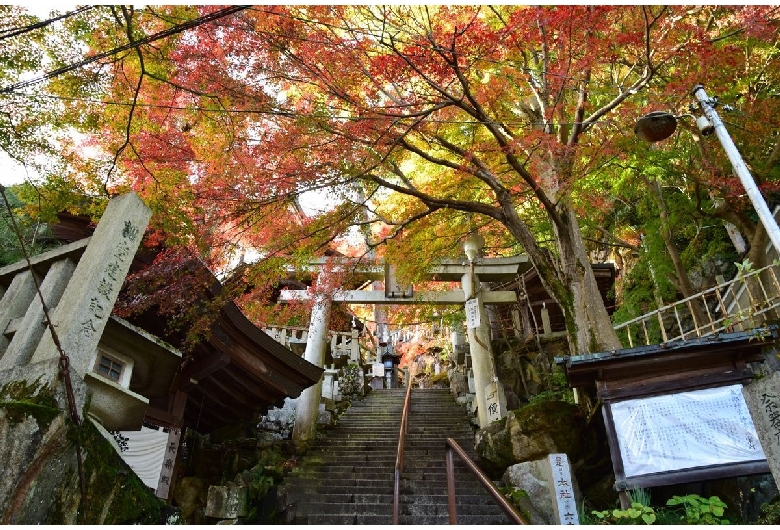 太郎坊宮（阿賀神社）