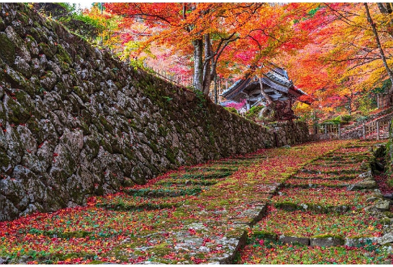 釈迦山 百済寺（湖東三山）