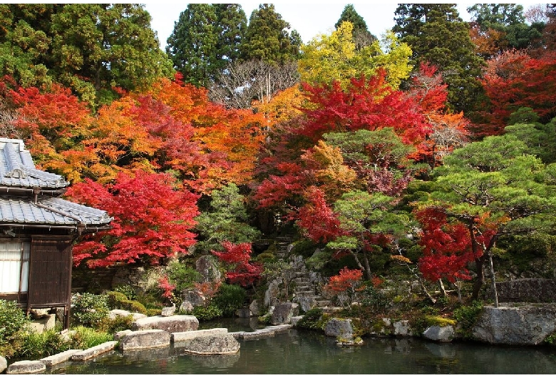 釈迦山 百済寺（湖東三山）