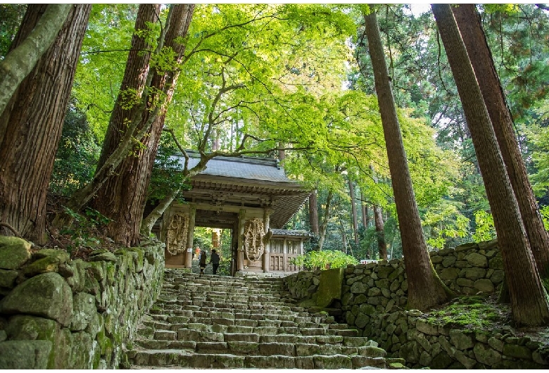 釈迦山 百済寺（湖東三山）