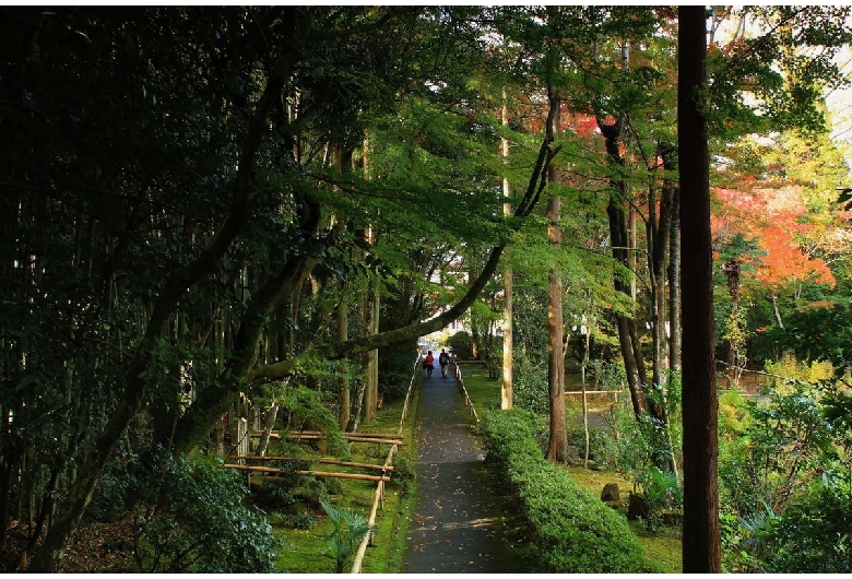 龍潭寺