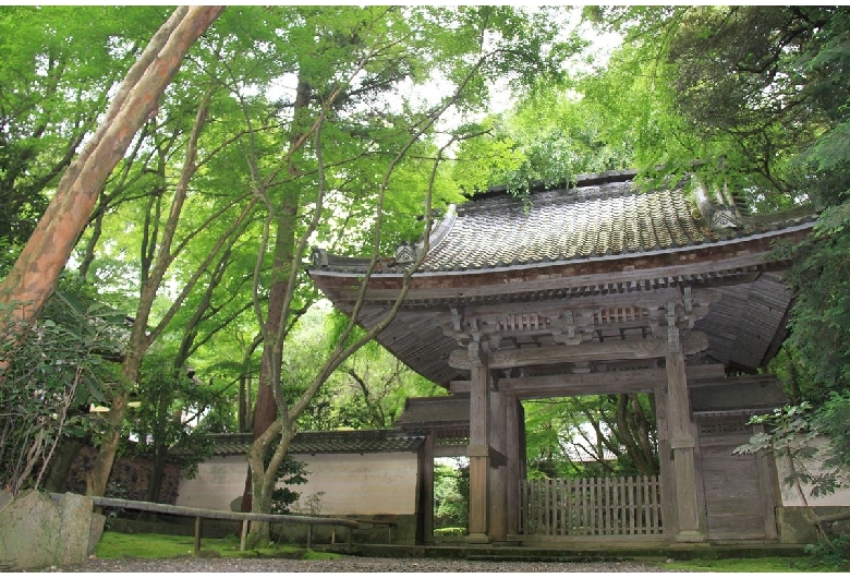 龍潭寺