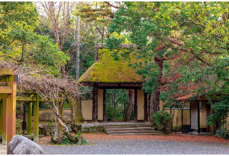 上野公園（伊賀上野城）