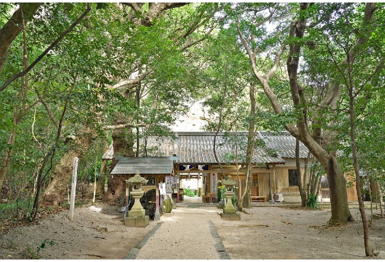 花の窟神社（花窟神社）