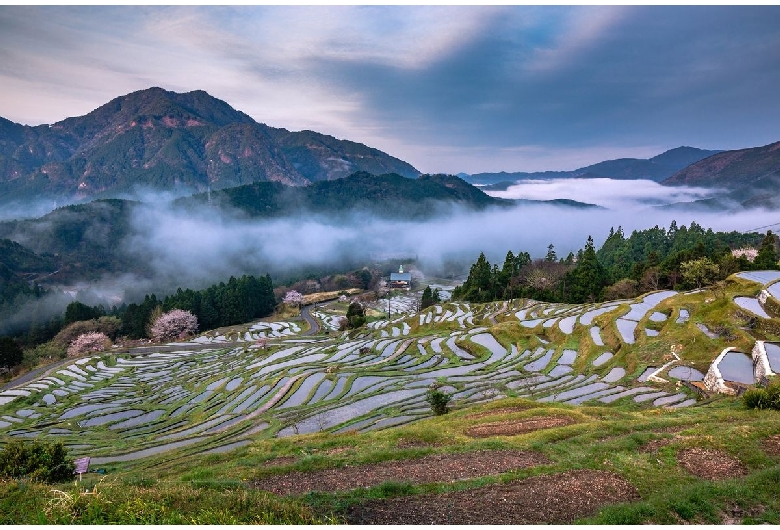 丸山千枚田