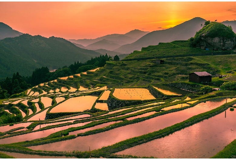 丸山千枚田