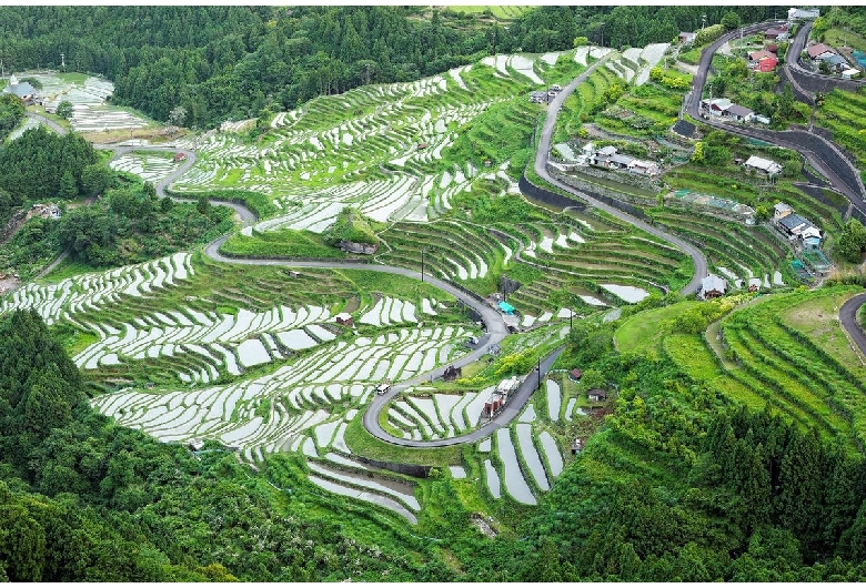 丸山千枚田