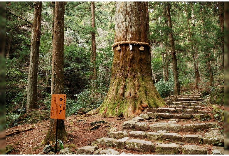 鳳来寺