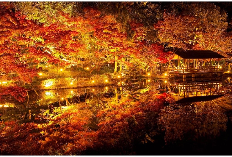 東山動植物園（東山公園・東山スカイタワー）