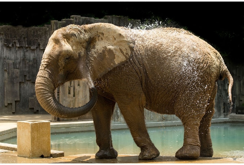 東山動植物園（東山公園・東山スカイタワー）