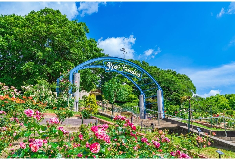 東山動植物園（東山公園・東山スカイタワー）