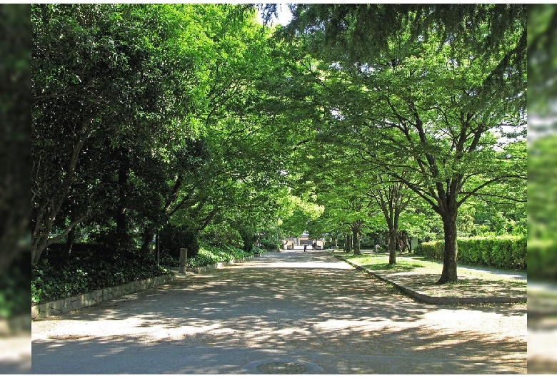 鶴舞公園