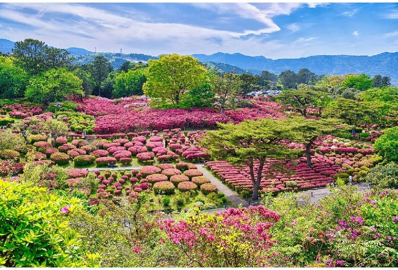 小室山（小室山公園）