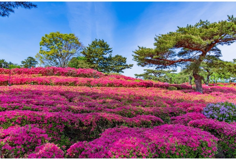 小室山（小室山公園）