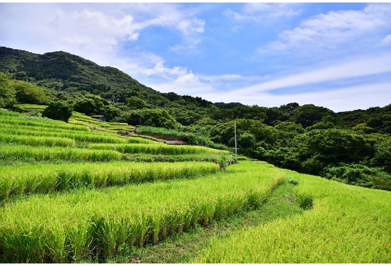 石部棚田