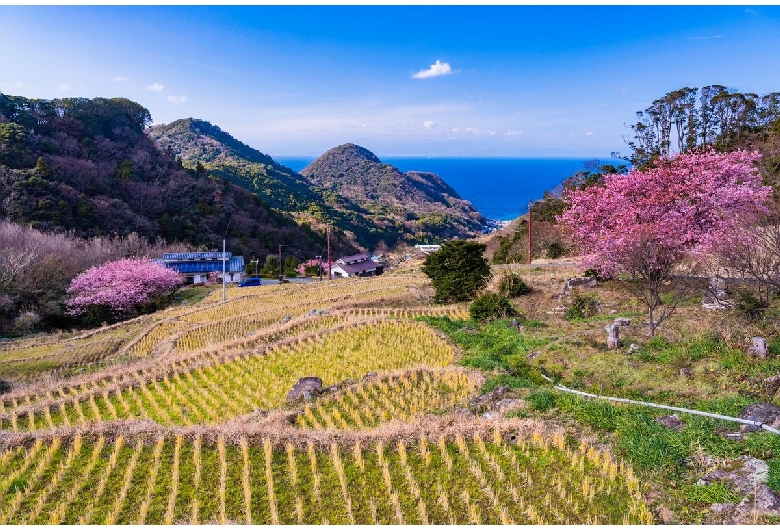 石部棚田