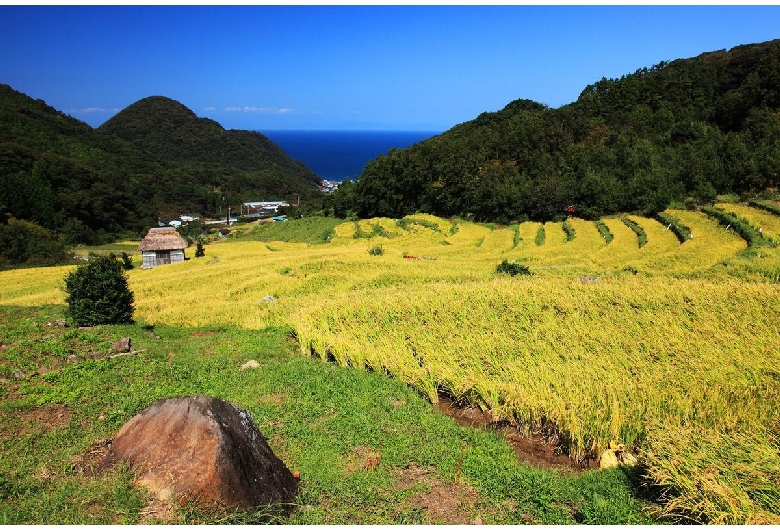 石部棚田