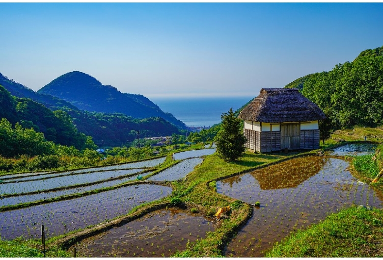 石部棚田