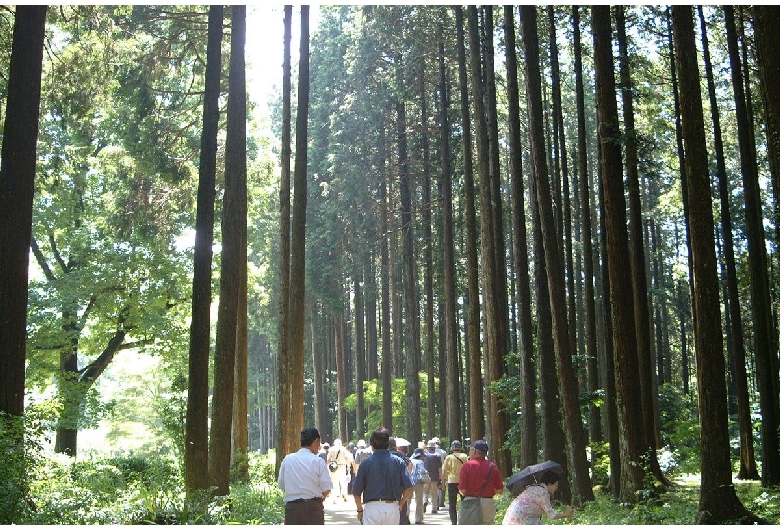 秩父宮記念公園