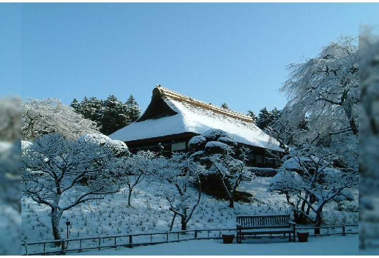 秩父宮記念公園