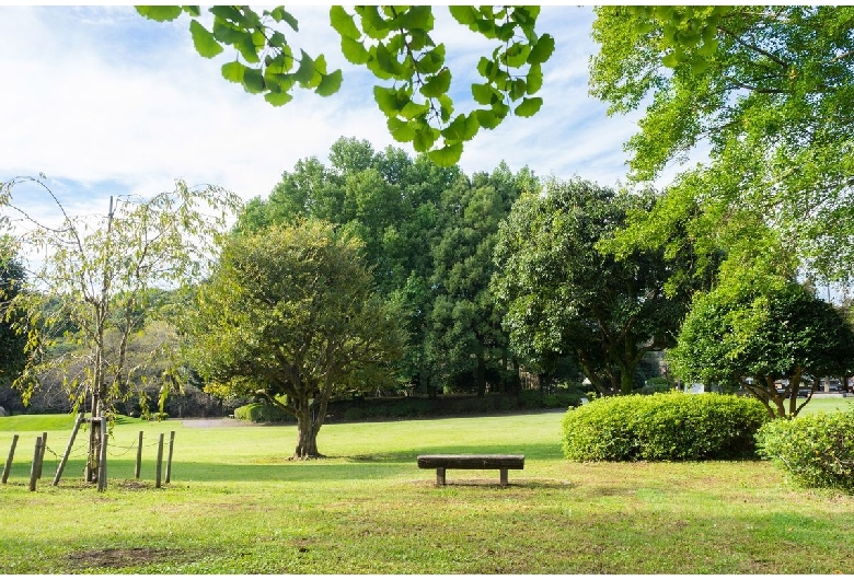 岩本山公園