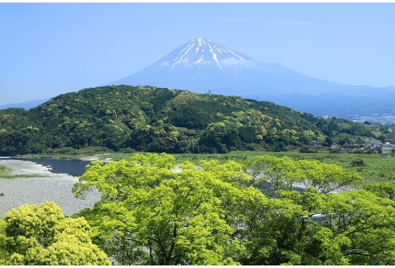 岩本山公園