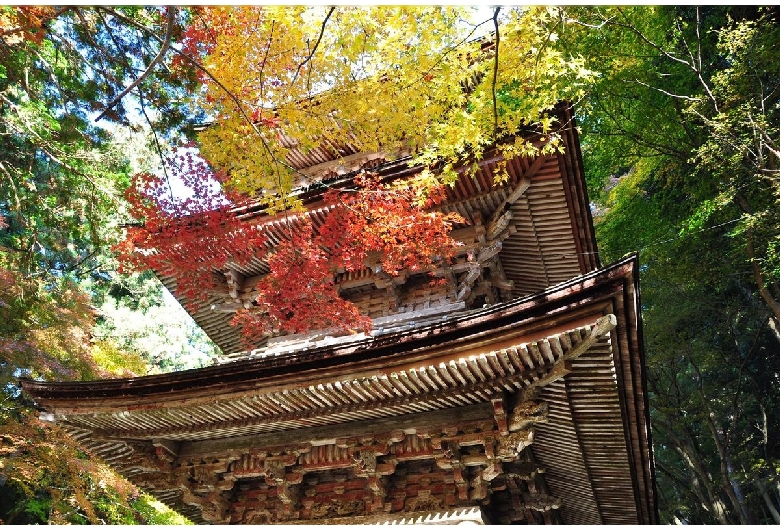 横蔵寺